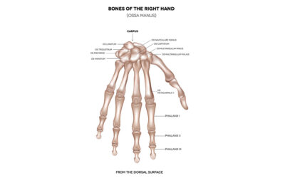 Understanding Medical Terminology